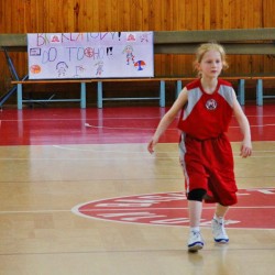 Nrodn finle mladch miniaek U12 Klatovy 2015 - den 3