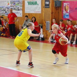 Nrodn finle mladch miniaek U12 Klatovy 2015 - den 3