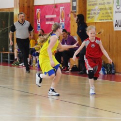 Nrodn finle mladch miniaek U12 Klatovy 2015 - den 3