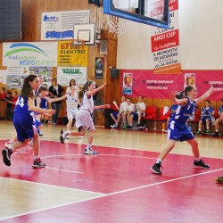 Nrodn finle mladch miniaek U12 Klatovy 2015 - den 3
