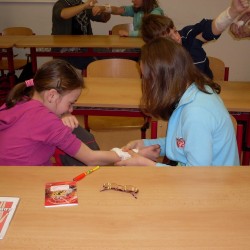 Fotky z krou�ku �k.rok 2010/2011