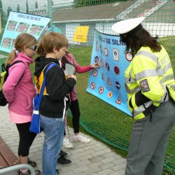 Mlad� z�chran�� 2013 - Klatovy