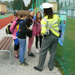 Mlad� z�chran�� 2013 - Klatovy