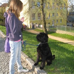 GYMNAZILN PADESTKA 2010