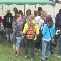 GYMNAZILN PADESTKA 2012