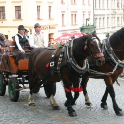 SVATOVCLAVSK OSLAVY