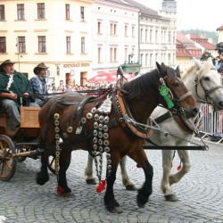 SVATOVCLAVSK OSLAVY