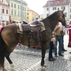 SVATOVCLAVSK OSLAVY