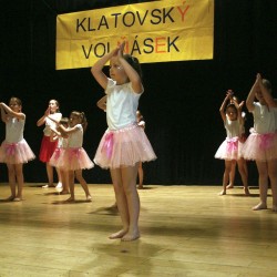 KLATOVSK VOLSEK