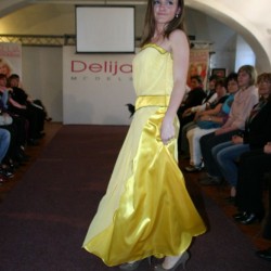 MDN SHOW - 10 LET DELIJA MODELS